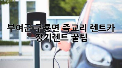 부여군 구룡면 죽교리 렌트카 장기렌트 꿀팁!