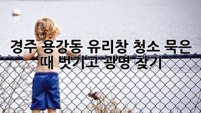 경주 용강동 유리창 청소✨ 묵은 때 벗기고 광명 찾기! 🏠